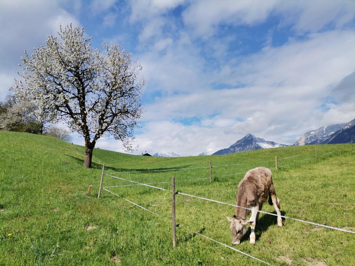 Ferienhaus Weber-Haeusl Reith im Alpbachtal Exterior foto